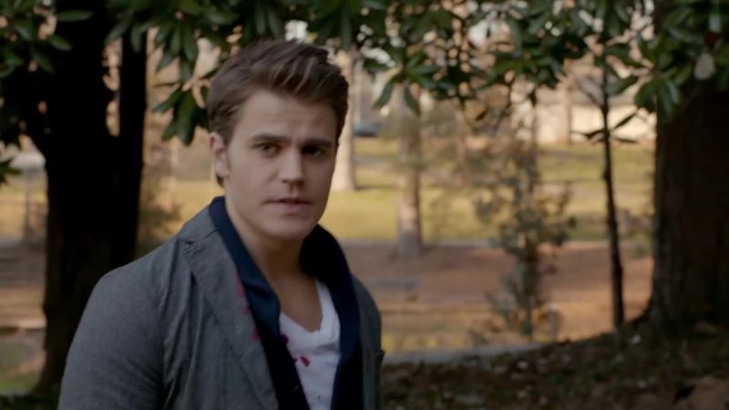 I've read your journals, Stefan
