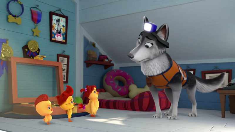 I've searched the entire doghouse