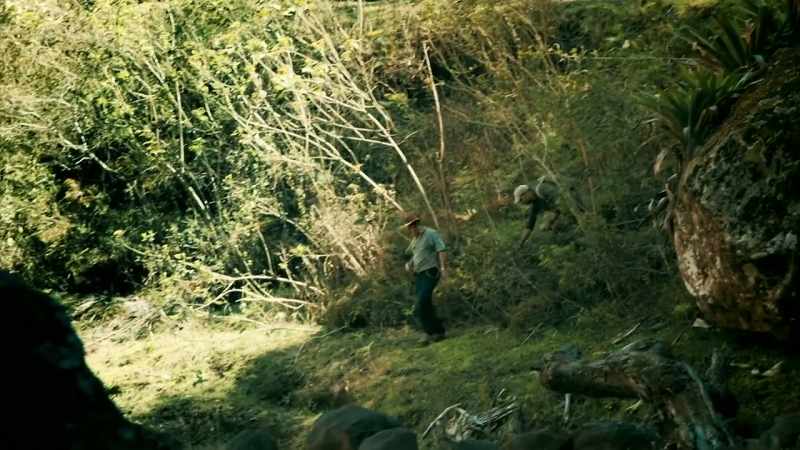I'VE SEEN BEARS IN ALASKA AND CANADA