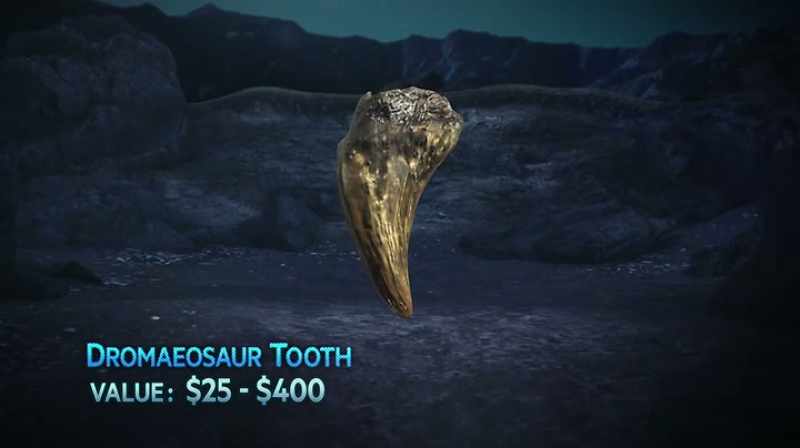 I'VE SEEN THEM GO FROM $25 TO $400, YOU KNOW