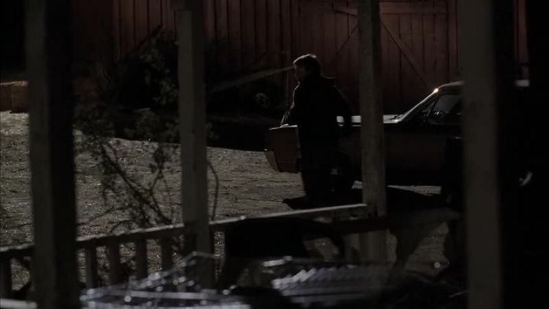 J.J.!Get back here!