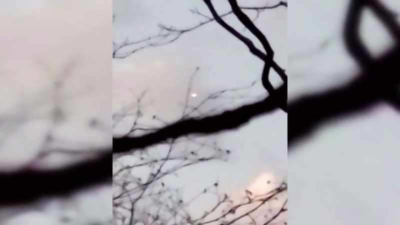 [Jack] And if you look right through those branches