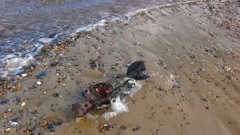 [Jack] But with fins?