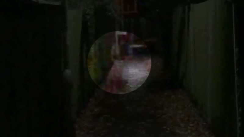 [Jack] Can you see? [Sharon] Mmm-hmm
