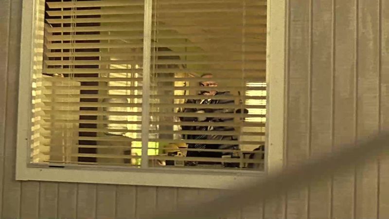 Jack! He's out the window! I see him!