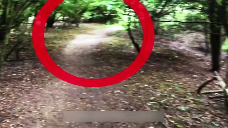 [Jack] Tree man?