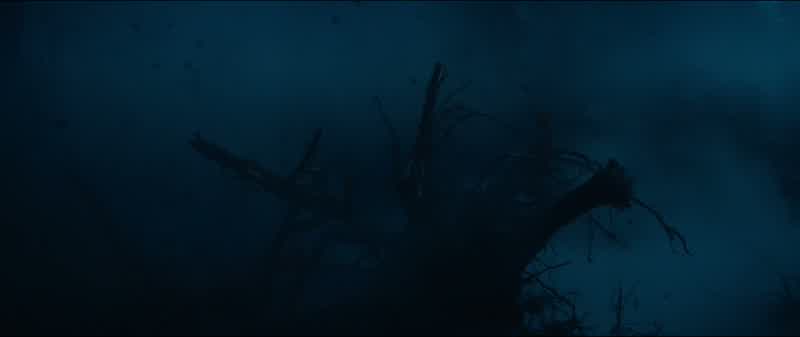 Jack? - Where are they? - Jack!