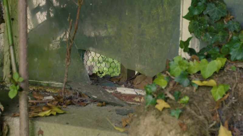 [Jaega] Smashed windows, peeling paint, cracked concrete