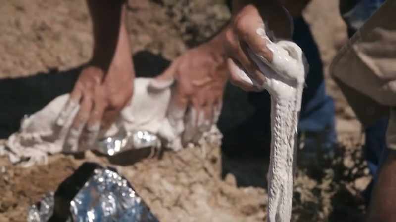 JAKE AND AARON HAVE ONLY FOUND THREE BONES SO FAR