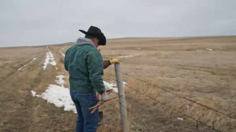 Jake: WHEN WE SELL COWBOY REX