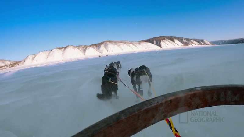 JAMEY: It's difficult managing eight dogs with one person
