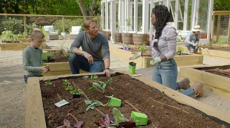 [Jamila] And you can pull beets