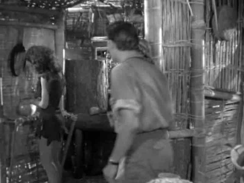 Jane why not bring Tarzan with you