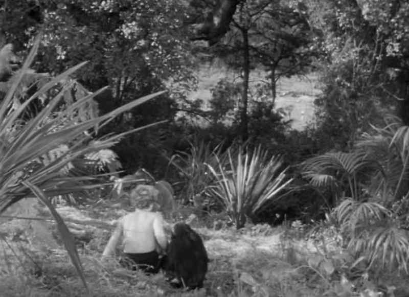 Jane's right. Tarzan won't help them