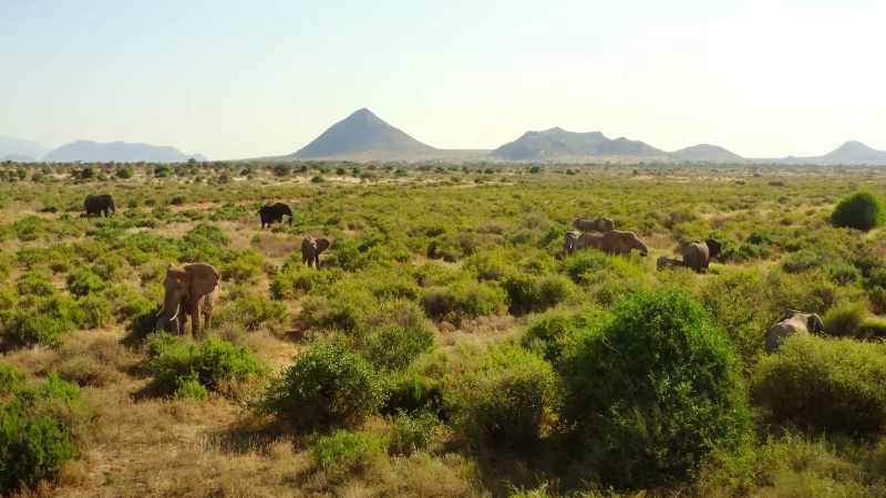 Jasiri's family are more gracious around mealtimes
