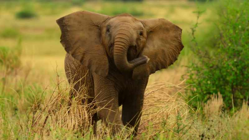 Jasiri's first ever rainstorm