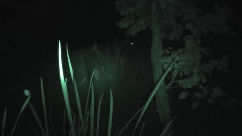 [jay] what is that?