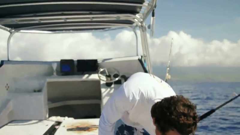 [jeff] all it takes is one fish