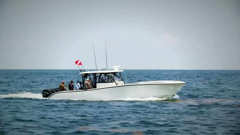 [jeff] we really need them big cobia