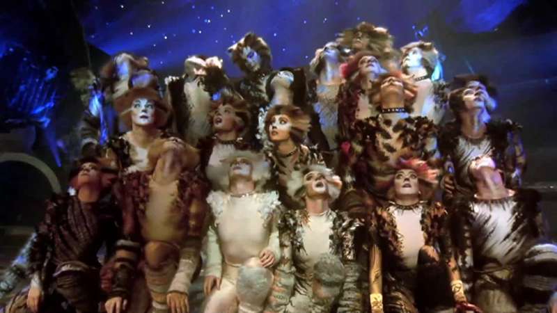 Jellicle Cats are roly poly