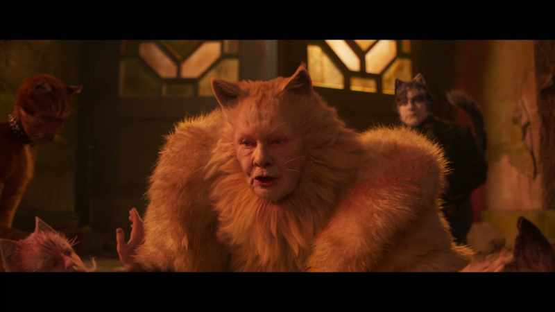 �� Jellicle cats come out tonight ♪