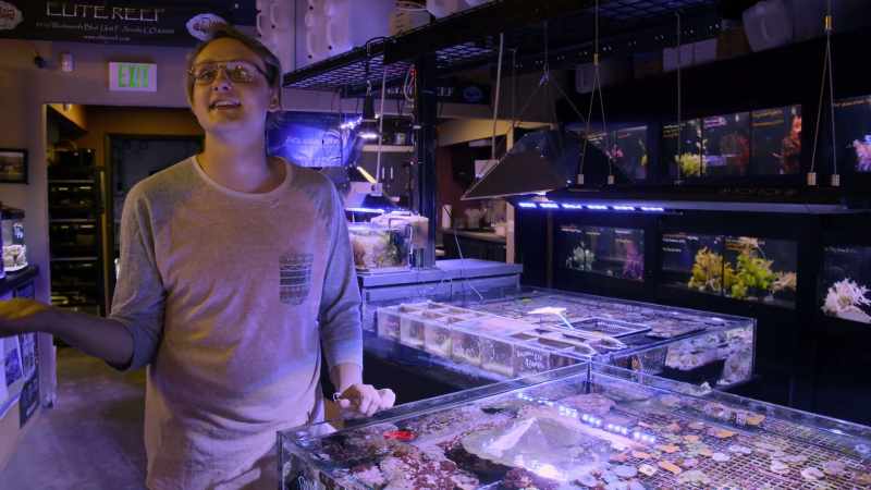 Jellyfish technically live forever, but they just get eaten by so many things