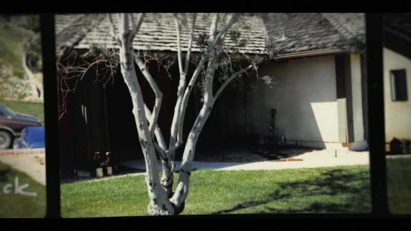 JENNIFER CAROLE: It was a regular Sunday