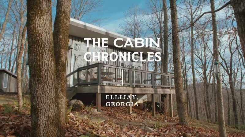 JENNIFER SAMS: We're so thick in the woods