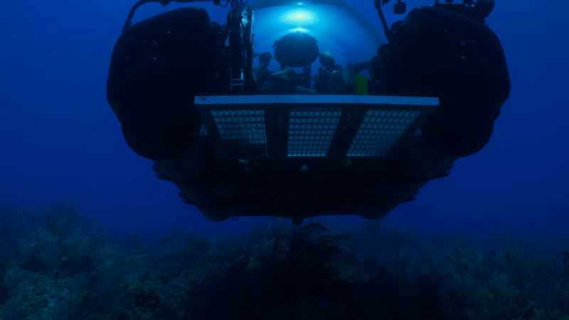 JEREMY JACKSON: I THINK THIS REEF HAS HAD IT