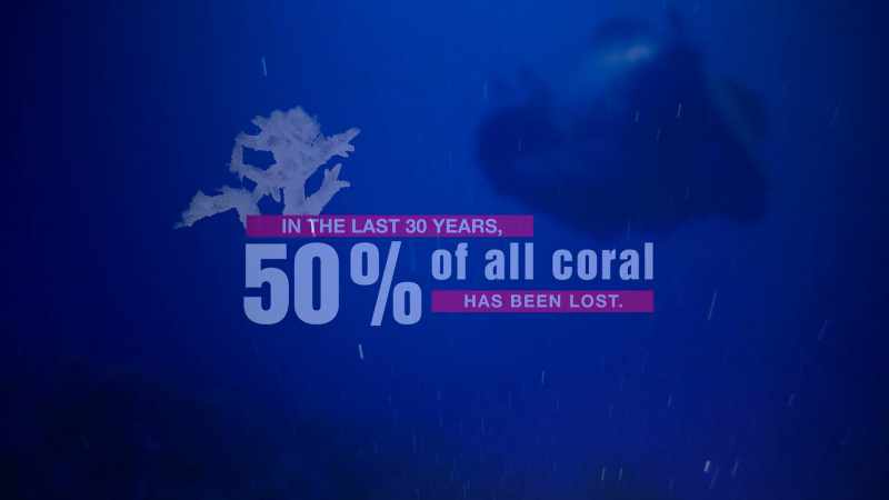 JEREMY JACKSON: THE OCEANS ARE LIKE THIS BIG BUFFER BECAUSE