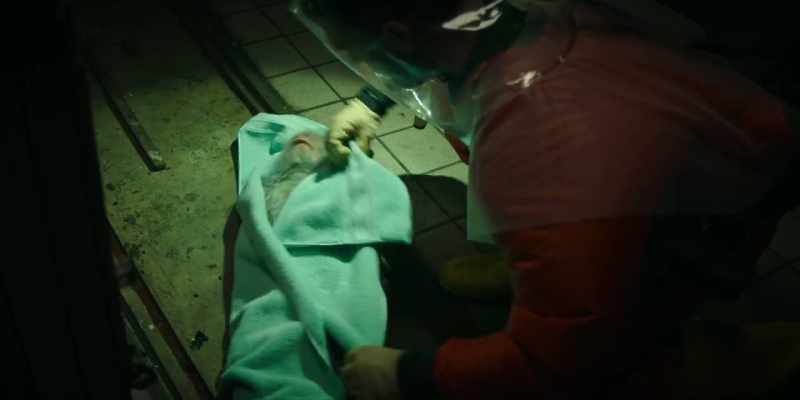 JERRY: Sedated monkeys will be transported
