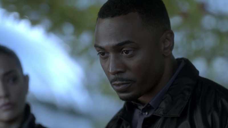 Jesse, you know I can help you