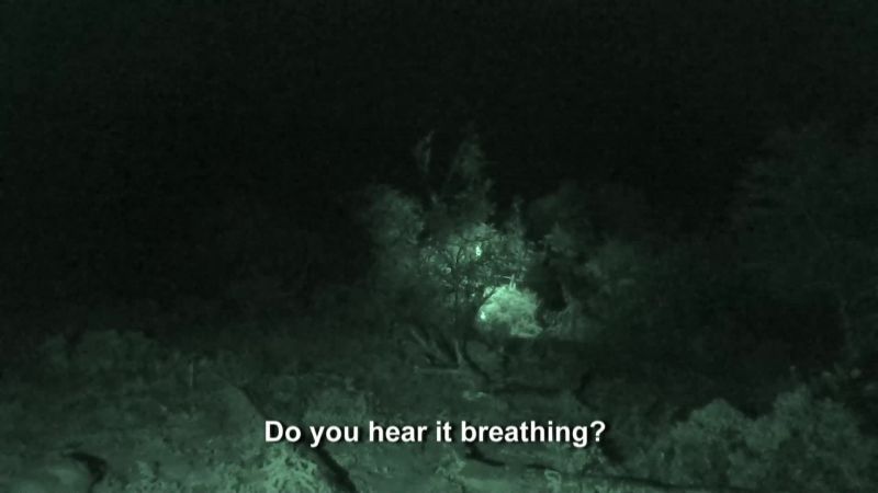 [Jessica] Yeah. -[Brandon speaking]