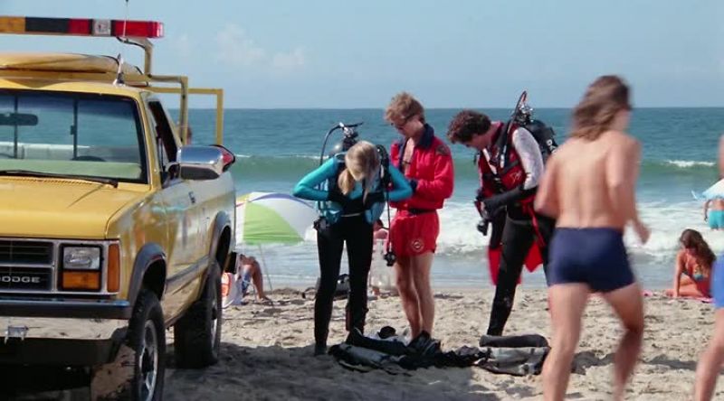 [JILL] OKAY, WE'LL DO A 50 FOOT SEARCH