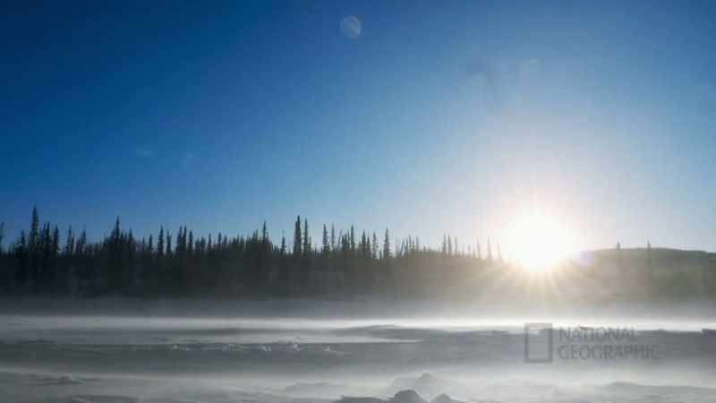 JODY: Dogs were placed here in this cold country by Creator