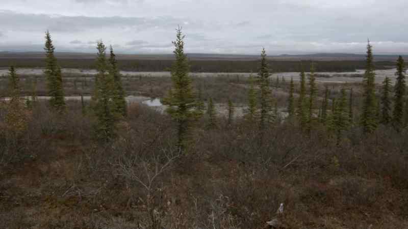 JOE, I GOT A BULL MOOSE. RIGHT THERE! RIGHT THERE!