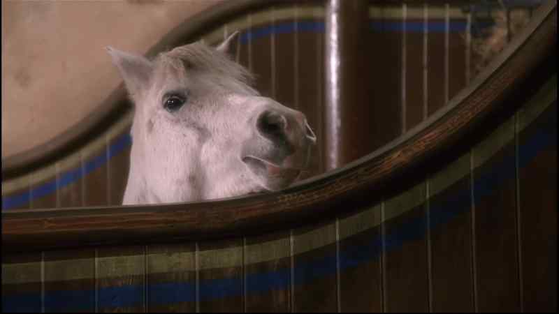 JOE: Uncle John! Uncle John! Come and see Black Beauty!