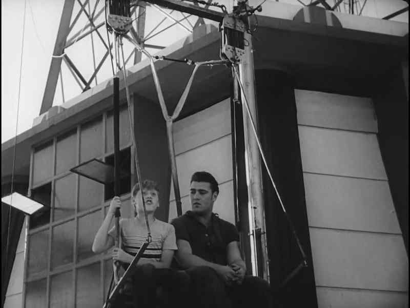 Joey! Hey Joey!