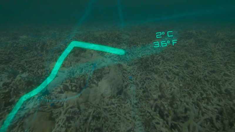 JOHAN ROCKSTROM: THE WORLD'S CORAL REEFS BEGIN TO COLLAPSE