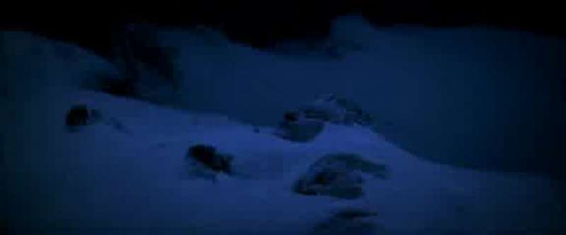 John you're probably out there somewhere in the snow