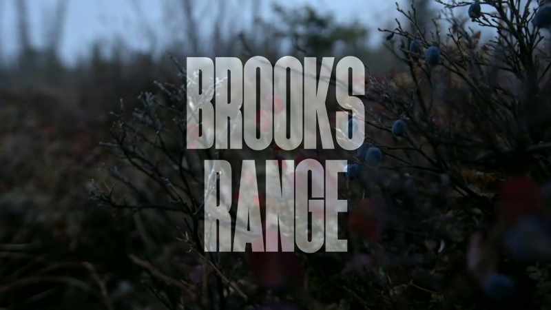 JOHNNY: Just kinda snacking and grazing as I go