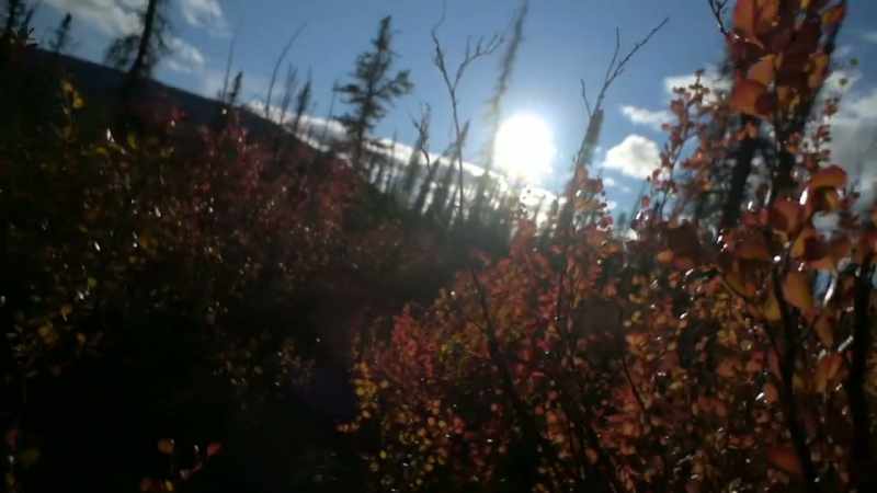 JOHNNY: Out here, in nature, everything is soft edges