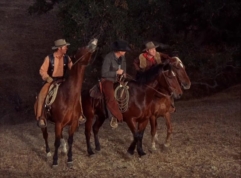 Johnny, we got work to do. Herd's comin' in