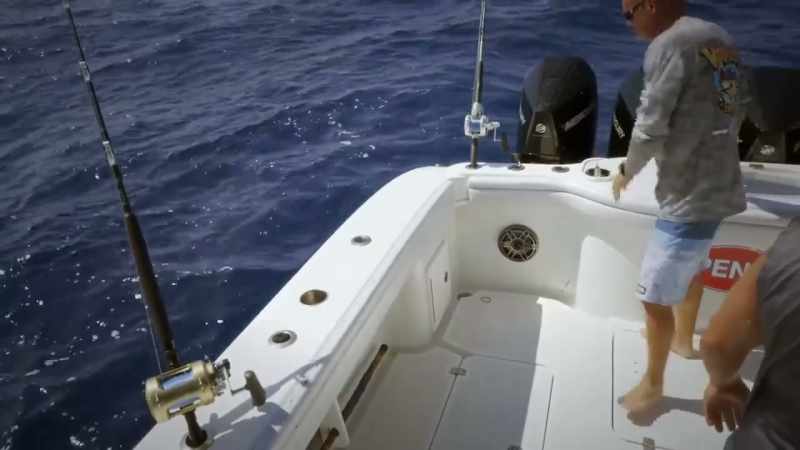 [josh] skipjack, you know, it's a great fish to have for bait
