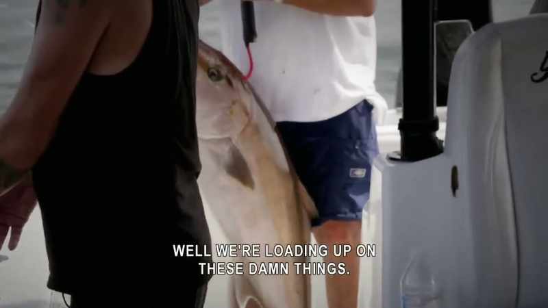 [josh speaking]