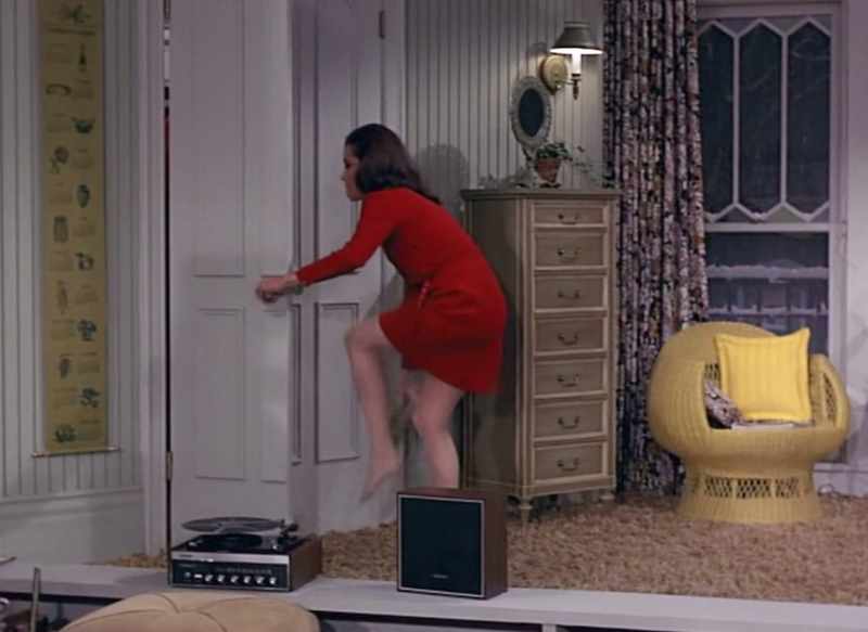 JULIA LOUIS-DREYFUS: There was no other show