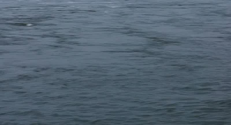 June 2002, Han River