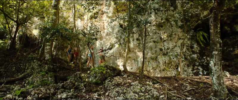 [jungle sounds]