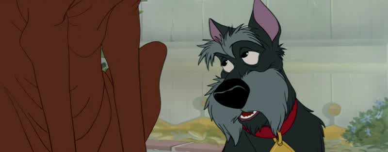 Just a cute little bundleOf troubleYeah They scratch pinch pull earsBut shucks Any dog can take thatIt's what they do to your happy homeMove it over will you friendHomewreckers that's what they