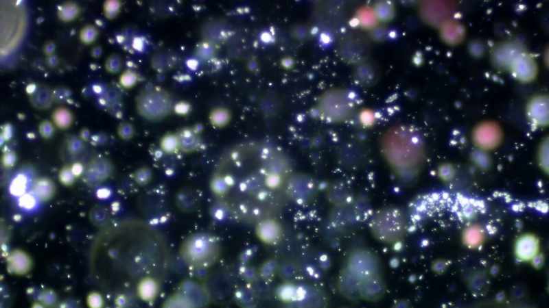 Just at a microscopic level